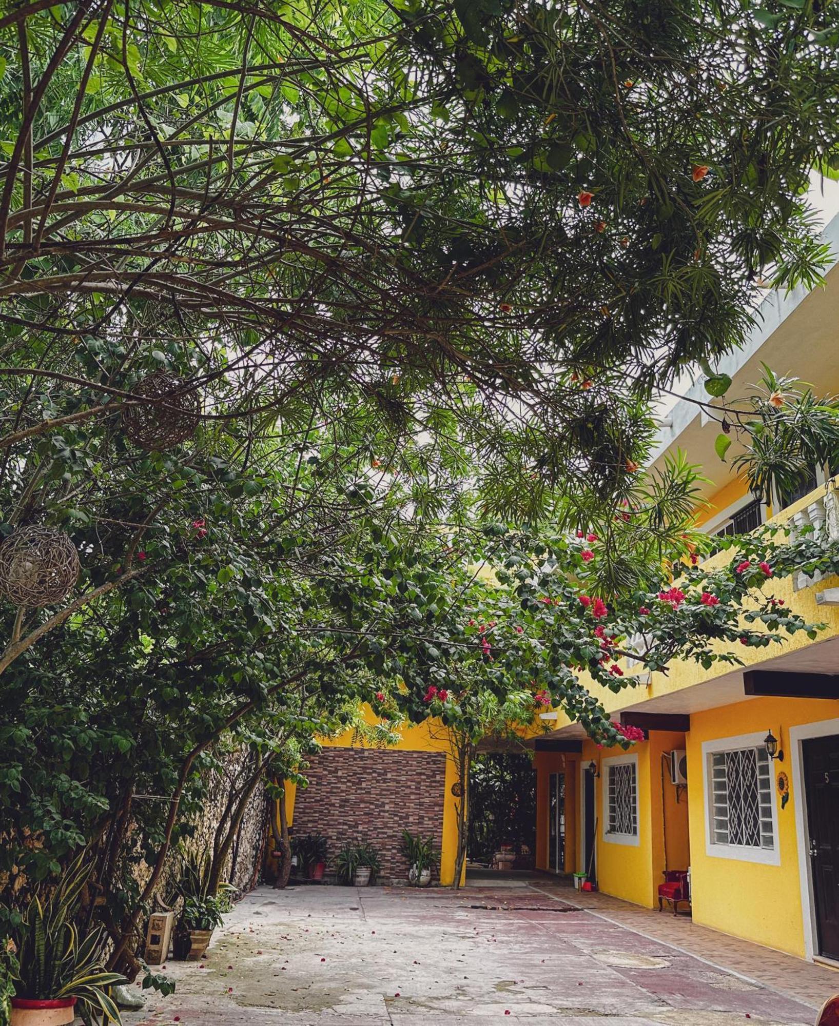 Casa Daniels Guesthouse バリャドリッド エクステリア 写真