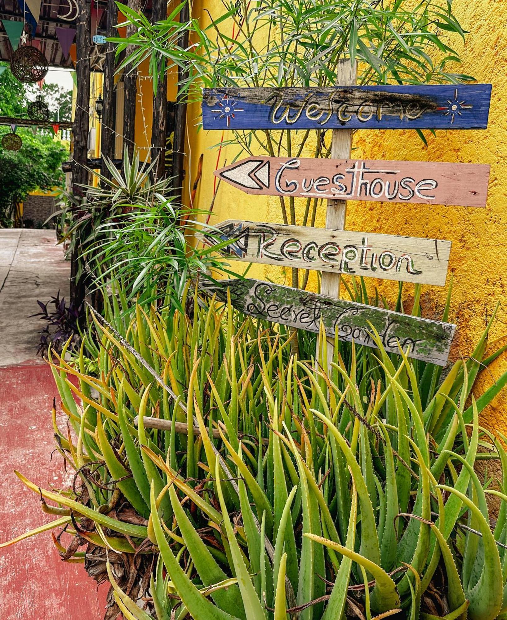 Casa Daniels Guesthouse バリャドリッド エクステリア 写真